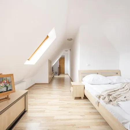 Apartserwis Orkana Oli * ザコパネ