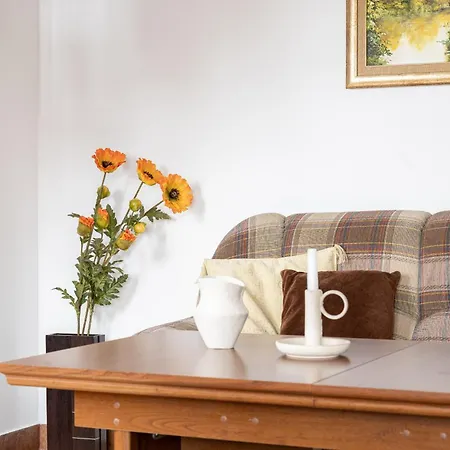 Apartserwis Orkana Oli